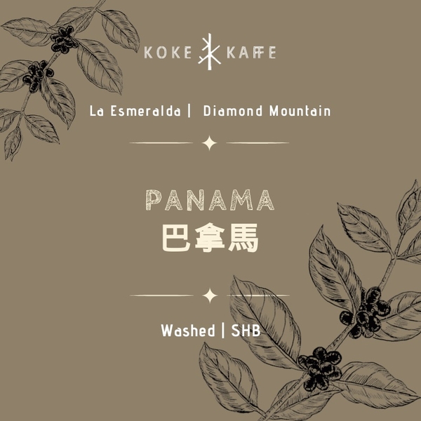 Panama-washed - Imported Drip Filter Coffee 10pcs/box<br>掛耳禮盒 - 巴拿馬-水洗豆 10包/盒