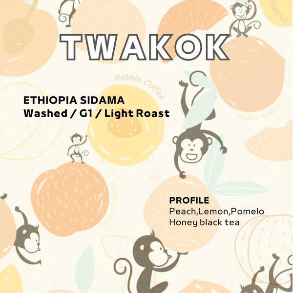 Ethiopia Sidama Twakok - Washed  <br> 衣索比亞 西達摩桃可可- 水洗豆
