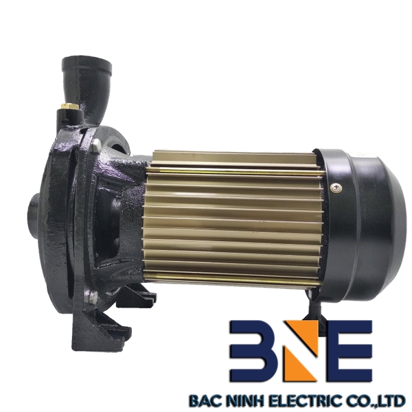 Máy bơm nước ly tâm Detax CMA150 - 1,5HP