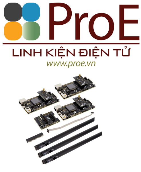 WI-SUN-PK6015A FG25 863-870MHZ WISUN+16DBM KIT