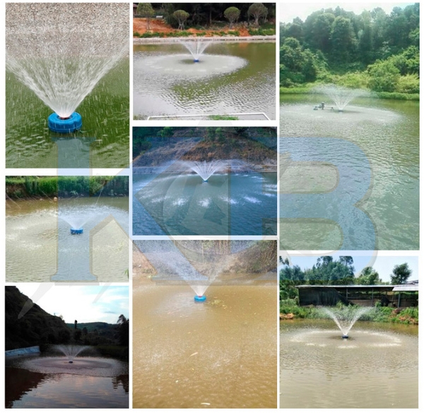 Máy phun mưa tạo oxy hòa tan 1100W - Thân nhựa