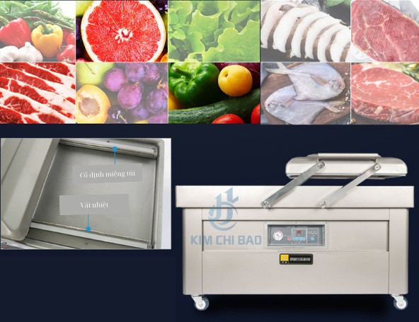 Máy hút chân không 2 buồng DZ600-2SA