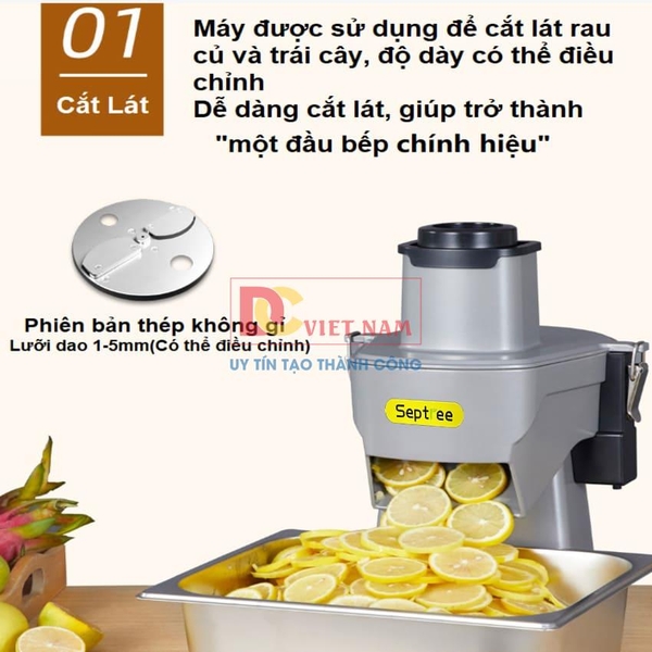 Máy thái rau củ quả đa năng, thái lát, thái sợi, thái hạt lựu. Thương hiệu Mỹ cao cấp Septree - GJ817