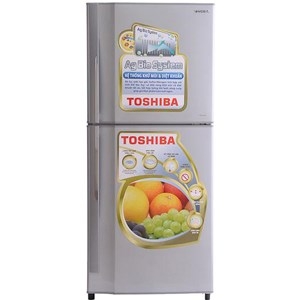 Tủ lạnh Toshiba GRS19VPP(S)
