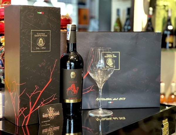 Hộp Quà Vang Ý Priamus Primitivo Salento Tết 2023