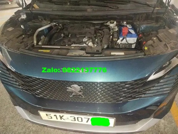 ac-quy-xe-peugeot-2008