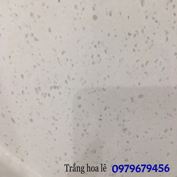 da-trang-hoa-le