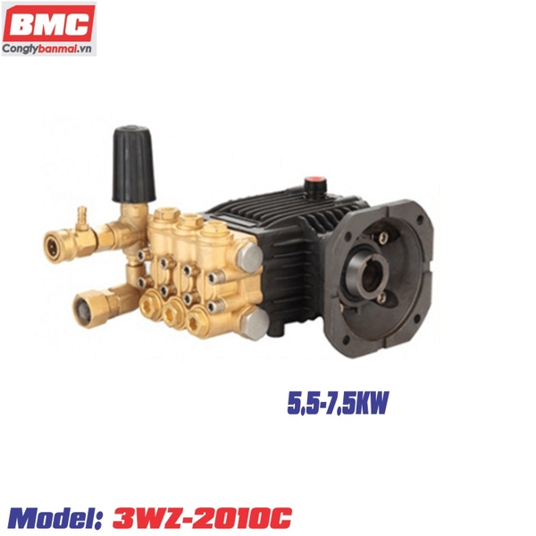 dau-bom-rua-xe-lutian-5-5-7-5kw-3wz-2010c