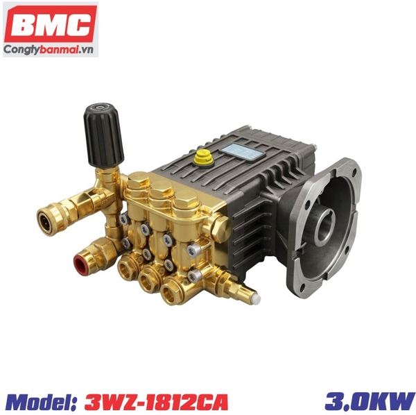 dau-bom-rua-xe-3-0kw-3wz-1812ca-jetta