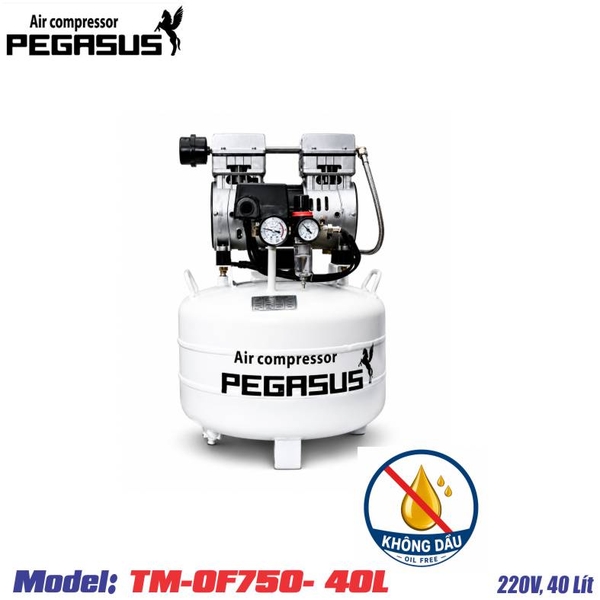 may-nen-khi-khong-dau-pegasus-tm-of750-40l-1hp