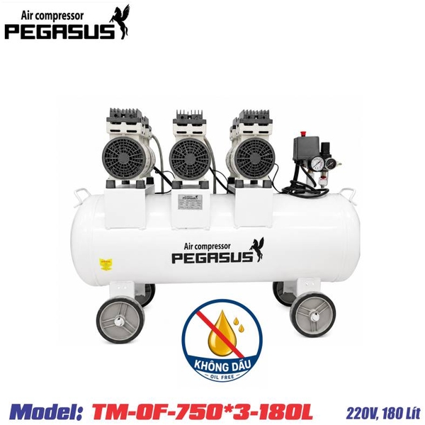 may-nen-khi-khong-dau-pegasus-tm-of750x3-180l-3hp