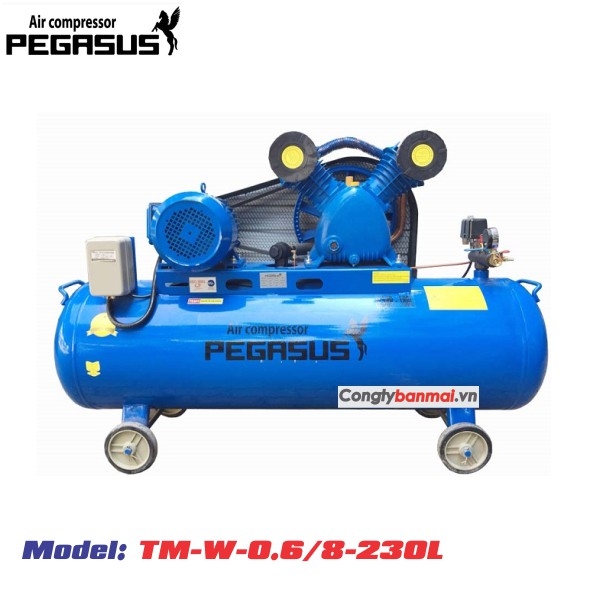 may-nen-khi-pegasus-tm-w-0-6-8-230l-5-5-hp