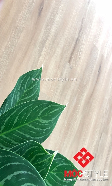 Mộc Style đem đến những sản phẩm sàn nội thất chất lượng
