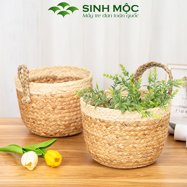 Giỏ bèo trồng cây siêu dễ thương, decor lục bình để bàn, treo tường - M1006