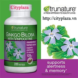 Ginkgo Biloba 