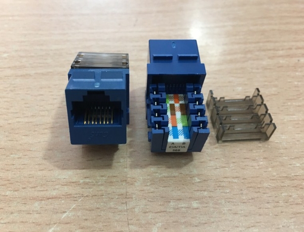 Nhân Mạng Alantek Cat5e 302-202LF1-00BU MODULAR JACK RJ45 CAT5E Blue ...