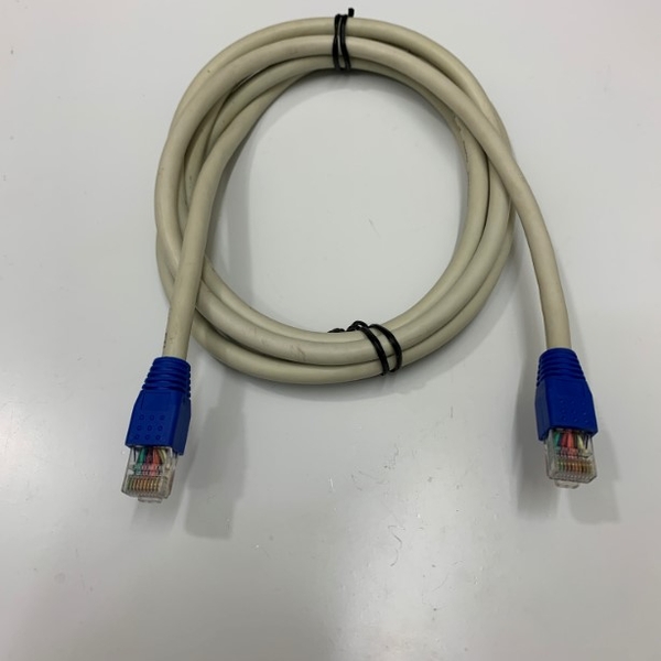 Dây Nhẩy UTP CAT5E Ethernet Patch Cord RJ50 to RJ50 10 Pin Cable Grey ...