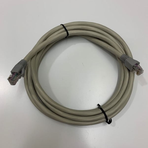 Dây Nhẩy UTP CAT5E Ethernet Patch Cord RJ50 to RJ50 10 Pin Cable Grey ...