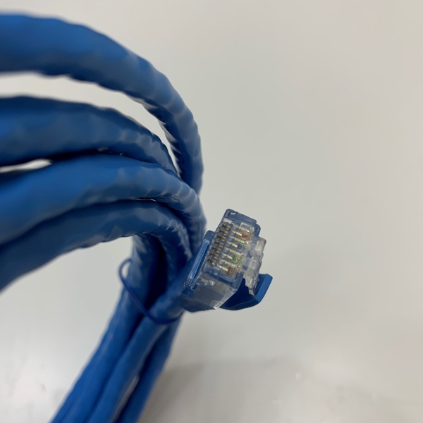 Cáp Mạng Đúc VIVANCO UTP 24AWG CAT6 10Ft Dài 3M For Industrial Camera ...