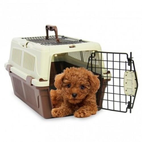 HP -SP1279 – lồng vận chuyển chó mèo -Lồng hàng không (màu ngẫu nhiên) – Size 2: Kích thước : 57x34x34cm ( 4711863)-HP10626TC