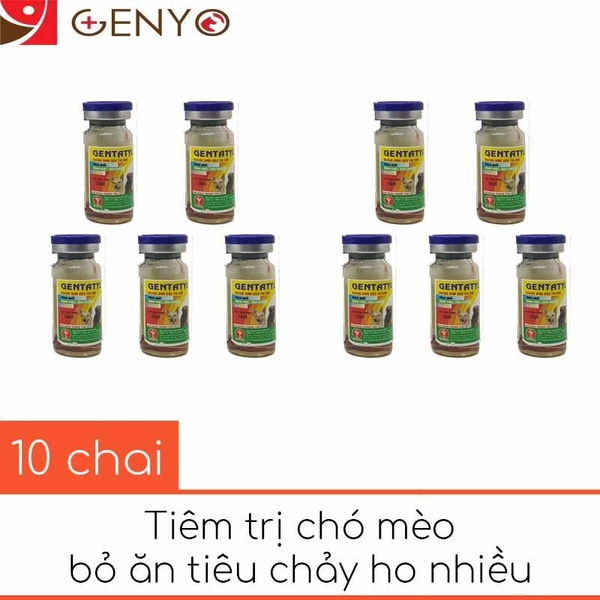 10 Chai Thuốc Chích Chó Mèo Tiêu Chảy, Rối Loạn Tiêu Hóa