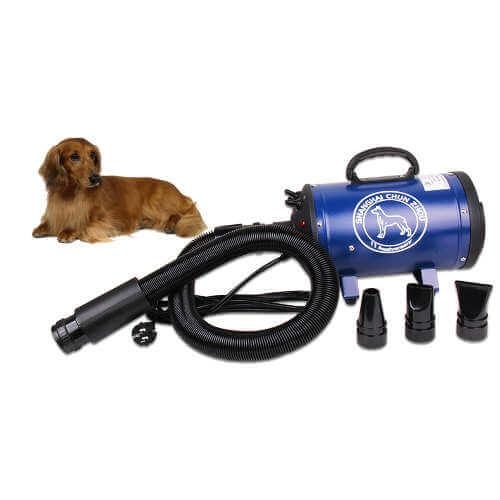 (Bảo hành 6 tháng 1 đổi 1) - Máy sấy BS2400 ( CS2400 đời mới ) máy sấy chuyên dụng phòng khám chó mèo, thú cưng-(Màu Xanh)