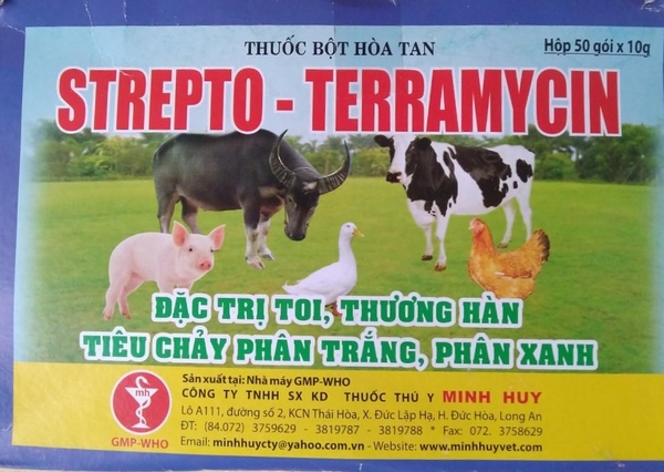 HP (combo 5 gói) STREPTO TERRAMYCIN  Thuốc đặc trị bệnh tiêu chảy gà (gói 10gr) / phòng bệnh phân trắng / trị bệnh phân xanh / đi ỉa gà đá