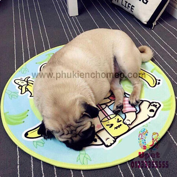 SP1419 - Đệm tròn 3D mỏng (hanpet 4711560) đệm nằm cho chó mèo hình vẽ 3D