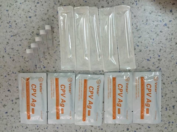 Que test bệnh PARVO và CARE cho chó (hanpet que test) dụng cụ phòng khám chó mèo / que thử bệnh parvo tại nhà / test bệnh care