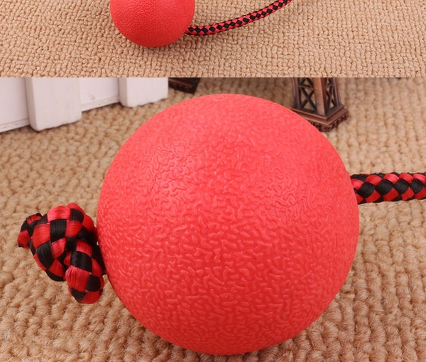 HP- Đồ chơi chó mèo các loại bóng chó chơi bóng mèo chơi banh chó mèo nhiều loại