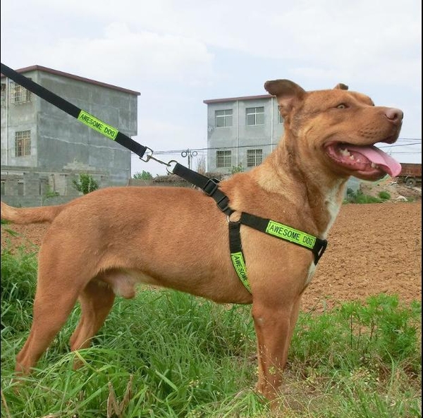 Dây dắt chó police dog phản quang - dây dắt kèm yếm đai yên ngựa cho chó nghiệp vụ / Cảnh khuyển