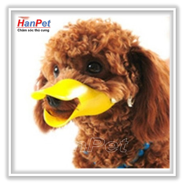 Rọ mõm cho chó -Rọ mõm chó hình mỏ vịt size M - nhựa cao cấp (size trung dùng cho chó 3-6kg) hanpet 608e