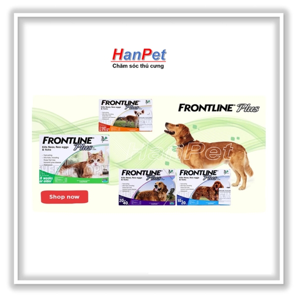 nhỏ gáy trị ve rận FRONTLINE FLUS Nhập từ Pháp (chó nhỏ 8 tuần - 10kg) hanpet 112