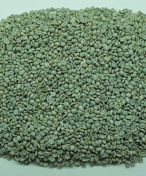 robusta-clean