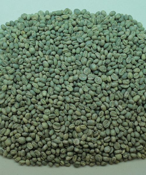 culi-arabica
