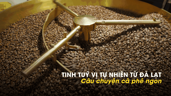CÂU CHUYỆN CÀ PHÊ NGON CỦA VOI ĐỎ – Tinh Túy Vị Tự Nhiên Từ Đà Lạt