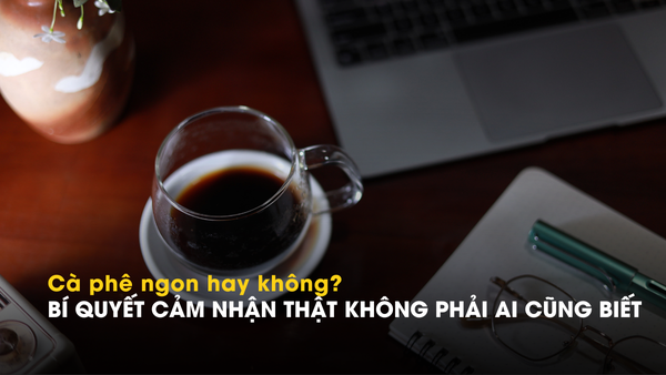 CÀ PHÊ NGON HAY KHÔNG? Bí quyết cảm nhận thật không phải ai cũng biết