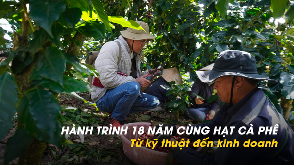 HÀNH TRÌNH 18 NĂM CÙNG CÀ PHÊ: Từ kỹ thuật đến kinh doanh