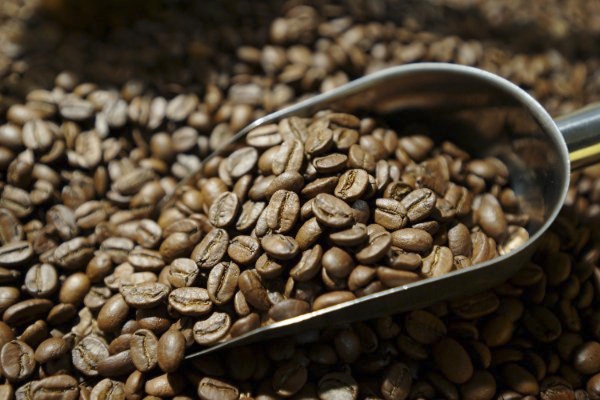Arabica Cầu Đất - Hương vị quyến rũ