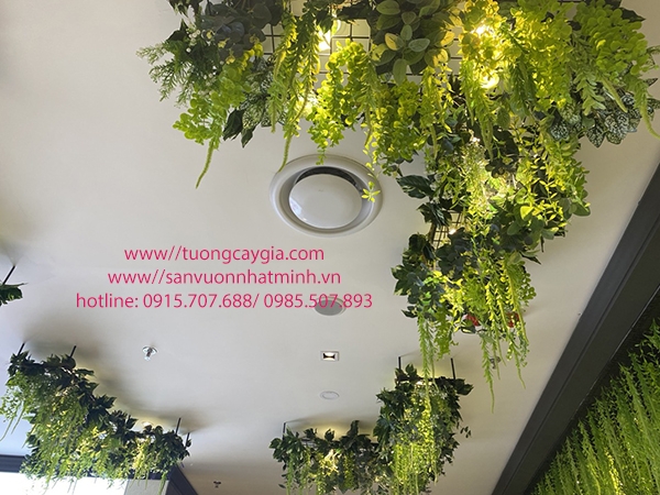 Một số mẫu dây leo rủ tại Hà Nội và Tp Hồ Chí Minh Tường cây giả Nhật Minh