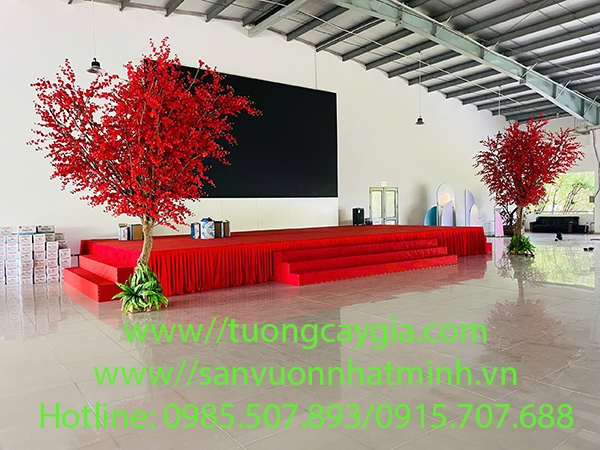 lap-dat-thi-cong-cay-hoa-anh-dao-do-tham-sac-xuan-sang-tai-hoc-mon-tp-hcm