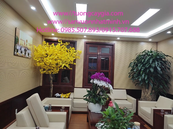 thi-cong-cay-phong-linh-hoa-vang-tai-ubnd-thi-xa-kinh-mon-tinh-hai-duong