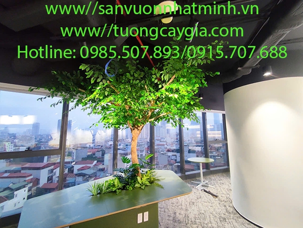 decor-khong-gian-van-phong-bang-cay-si-xanh-tai-265-cau-giay-ha-noi