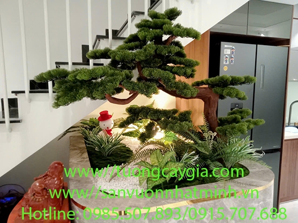 cay-tung-la-han-dang-bon-sai-cho-nha-pho-ha-noi