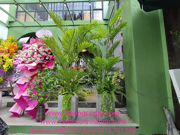cung-cap-chau-cay-dua-canh-tai-nha-hang-com-ga-hai-nam-so-75-lang-ha
