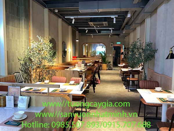 chau-cay-o-liu-decor-cho-nha-hang-khach-san-nha-o-van-phong-nang-tam-khong-gian-