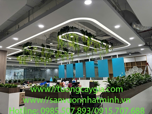 thi-cong-lap-dat-day-leo-ru-va-he-thong-cay-xanh-tai-cong-ty-may