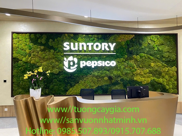 thi-cong-vach-tuong-reu-bao-ton-tai-nha-may-pepsico-tay-ninh