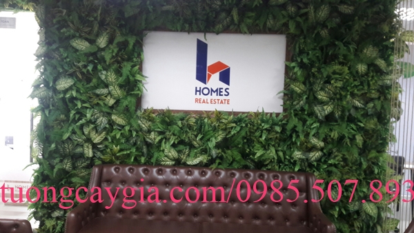 tuo-ng-cay-gia-van-pho-ng-cong-ty-vhomes-land