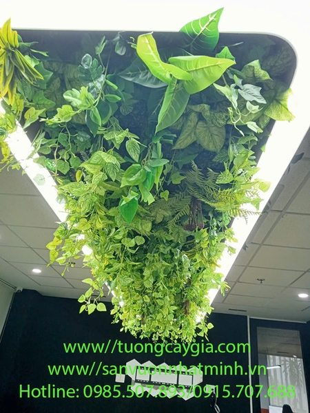 decor-mang-cay-nhan-tao-tha-ru-tu-tran-nha-tai-tan-phu-tp-ho-chi-minh